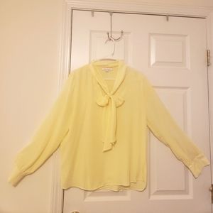 Long sleeve sheer blouse